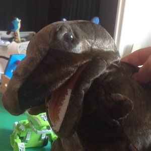 Meet your Posher, Lesley